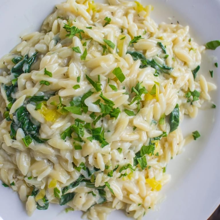 A close-up of a luscious, creamy One-Pot Creamy Orzo, topped with fresh parsley.